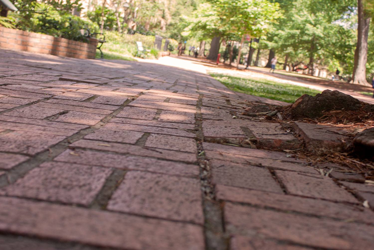 Pathway of uneven bricks on the Historic Horseshoe.