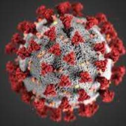 COVID-19病毒细胞的图像